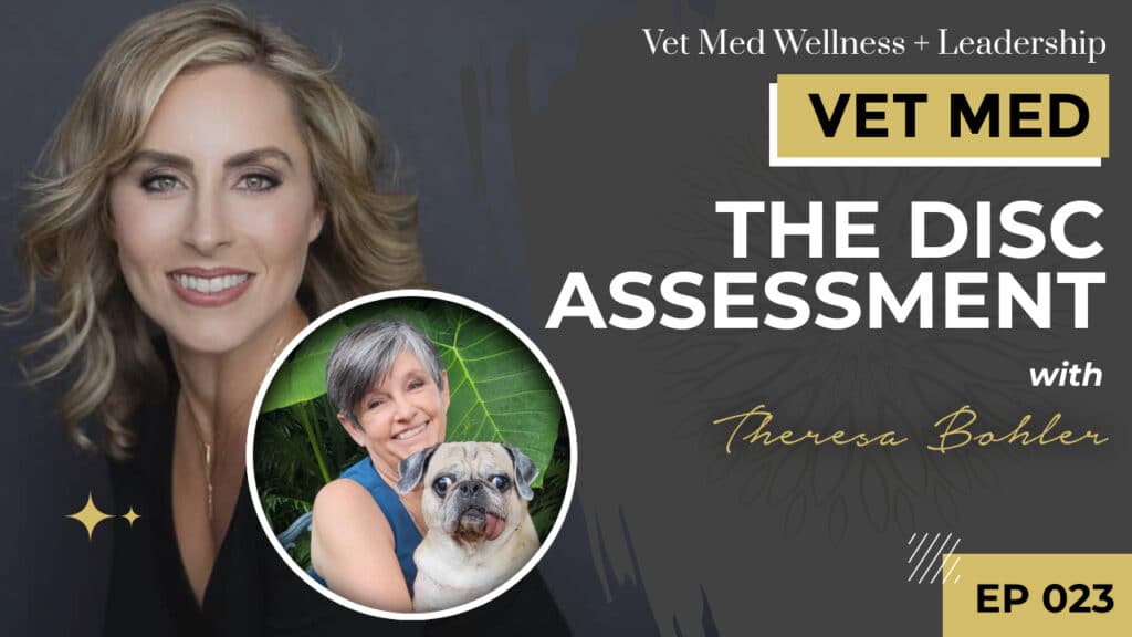 #023: The DiSC Assessment with Theresa Bohler