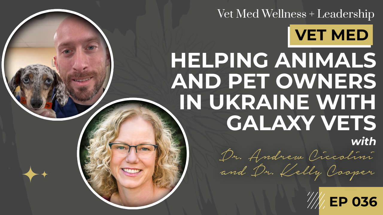 #036: Helping Animals and Pet Owners in Ukraine with Galaxy Vets