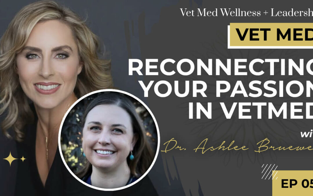 #054: Reconnecting Your Passion in VetMed with Dr. Ashlee Bruewer