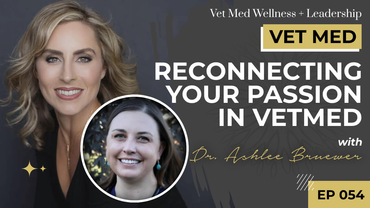 #054: Reconnecting Your Passion in VetMed with Dr. Ashlee Bruewer